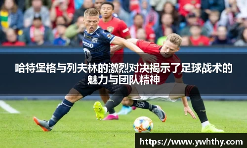 mk体育在线官网